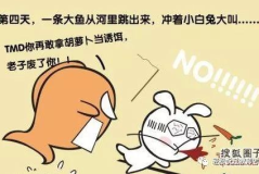 搞笑图片故事,搞笑图片背后的趣味故事