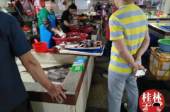 娱乐吃瓜酱恋爱脑男朋友,娱乐吃瓜酱的甜蜜日常