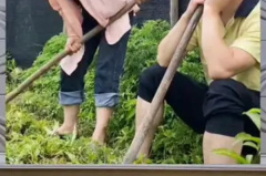 八卦娱乐是吃瓜群众的,揭秘吃瓜群众的狂欢盛宴