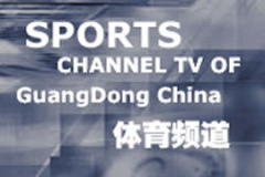 广东卫视在线直播,精彩节目轮番上演，多平台同步观看