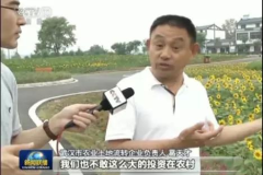 快乐吃瓜娱乐新闻视频在线观看,热门吃瓜娱乐新闻视频在线观看指南