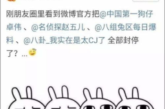 娱乐吃瓜大事件,揭秘年度最热吃瓜大事件