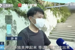 网红吃瓜跳舞是谁,揭秘网络红人的新潮流现象