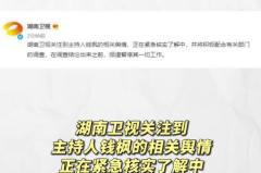 娱乐圈吃瓜日常模板,揭秘明星们的幕后故事与甜蜜瞬间