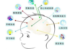 宝宝大脑发育,科学养育，助力智力飞跃
